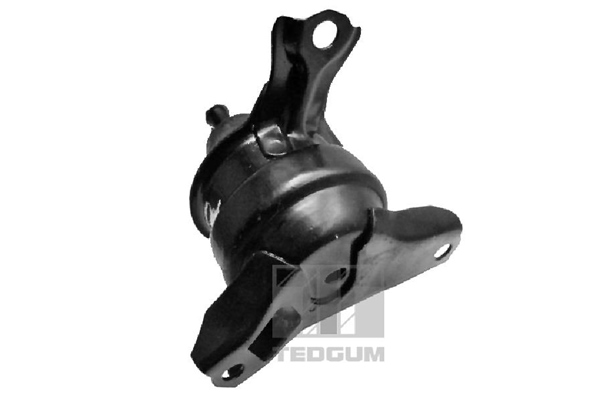 Motorsteun Tedgum 00266476