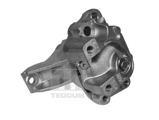 Tedgum Motorsteun 00269468