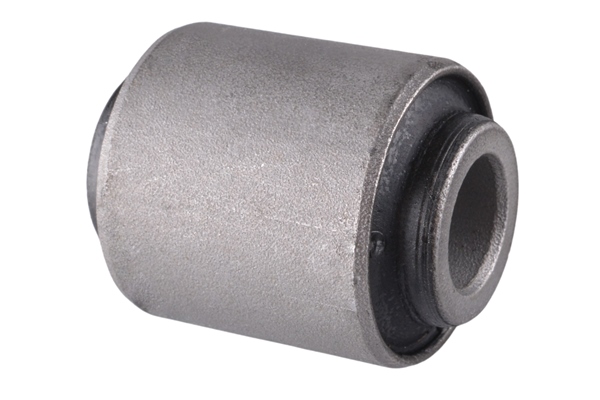 Draagarm-/ reactiearm lager Tedgum 00283373