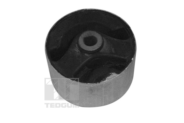 Tedgum Differentieel keerring 00289581