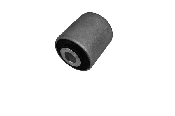 Draagarm-/ reactiearm lager Tedgum 00379950