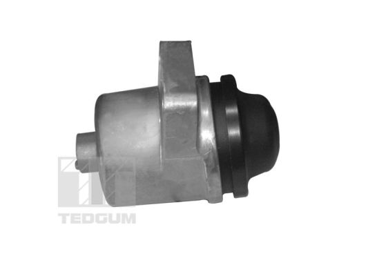 Tedgum Motorsteun 00399821