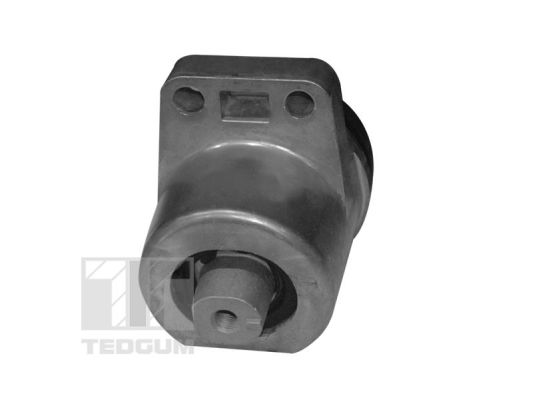 Tedgum Motorsteun 00399821