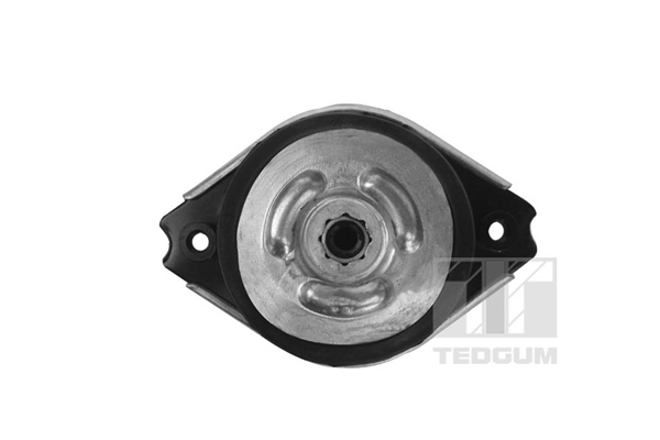 Tedgum Motorsteun 00418536