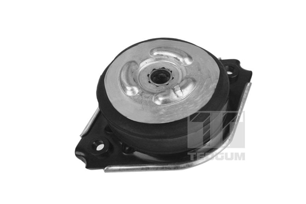 Tedgum Motorsteun 00418536