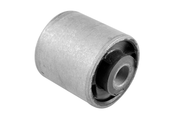 Draagarm-/ reactiearm lager Tedgum 00440049