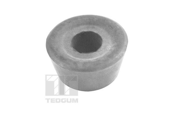 Tedgum Draagarm-/ reactiearm lager 00443871