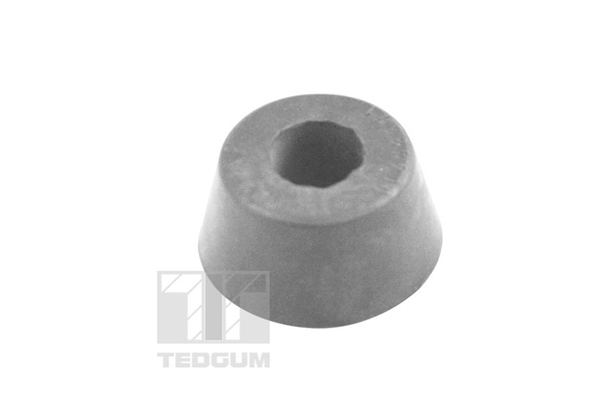 Tedgum Draagarm-/ reactiearm lager 00443871