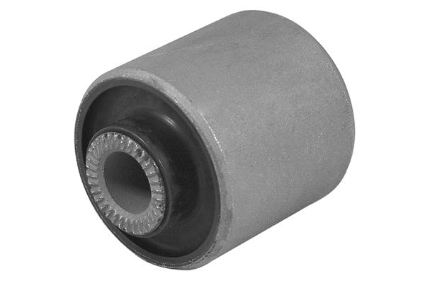 Tedgum Draagarm-/ reactiearm lager 00445466