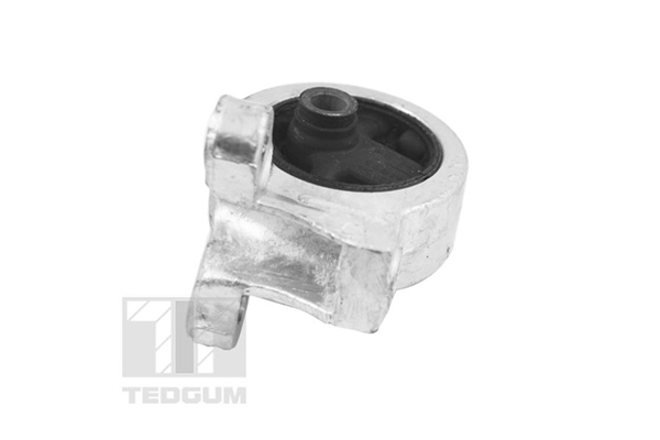 Tedgum Motorsteun 00461500