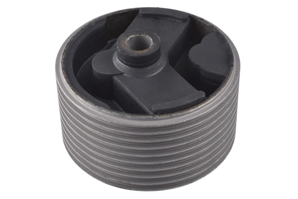 Tedgum Motorsteun 00463831