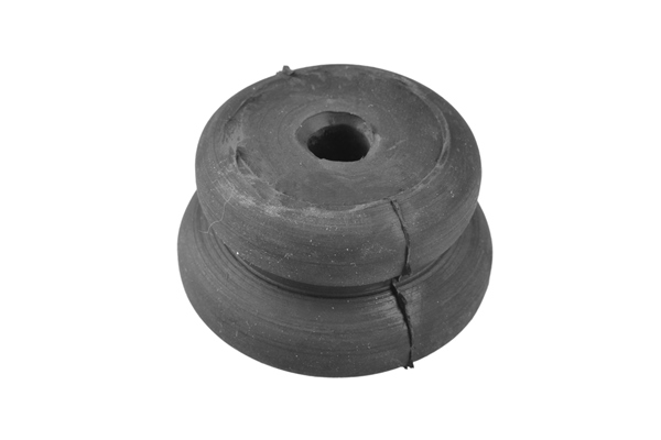 Veerpootlager & rubber Tedgum 00466172