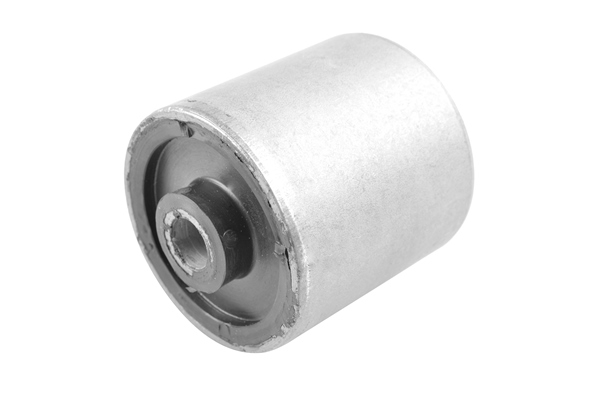 Draagarm-/ reactiearm lager Tedgum 00469971