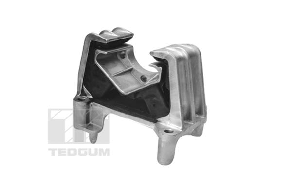 Motorsteun Tedgum 00504645
