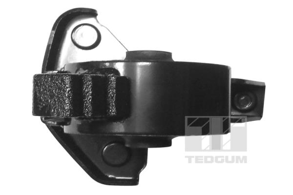 Tedgum Motorsteun 00671780