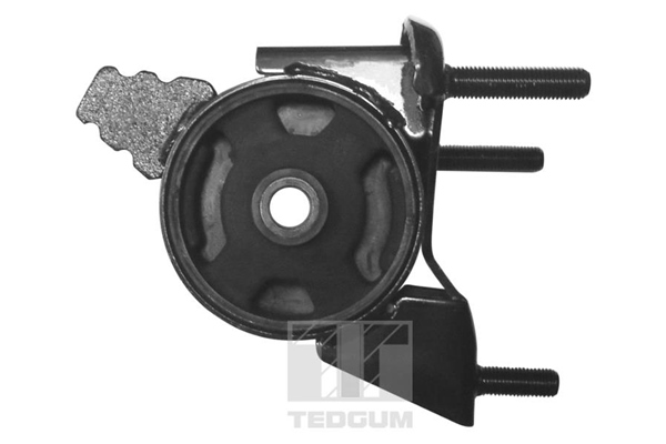 Tedgum Motorsteun 00671780