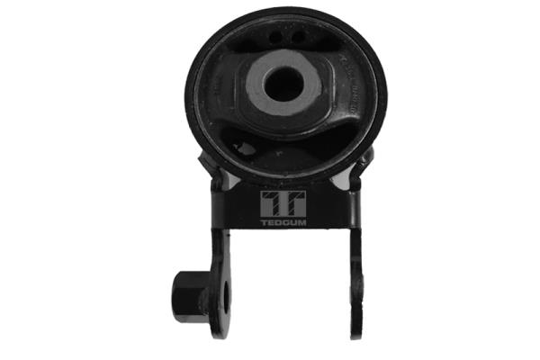 Motorsteun Tedgum 00672439