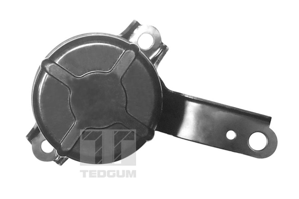 Tedgum Motorsteun 00672451