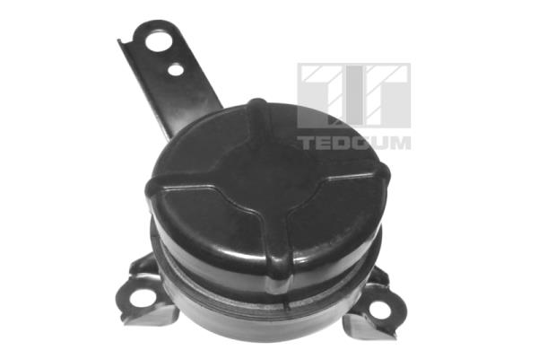 Motorsteun Tedgum 00672451