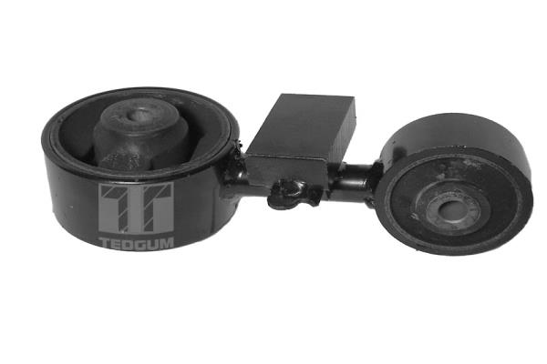 Tedgum Motorsteun 00672500