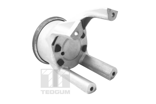 Tedgum Motorsteun 00725748