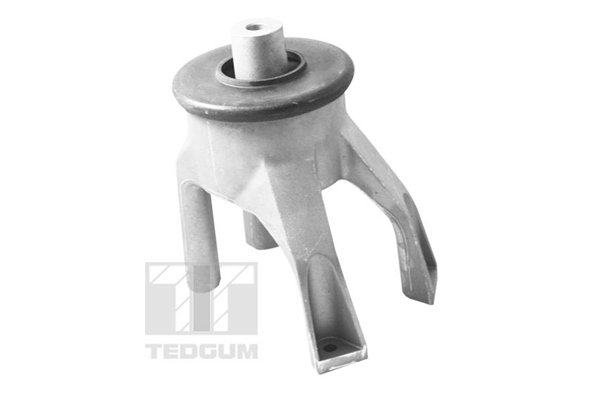 Tedgum Motorsteun 00725748