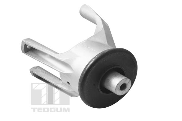 Motorsteun Tedgum 00725748