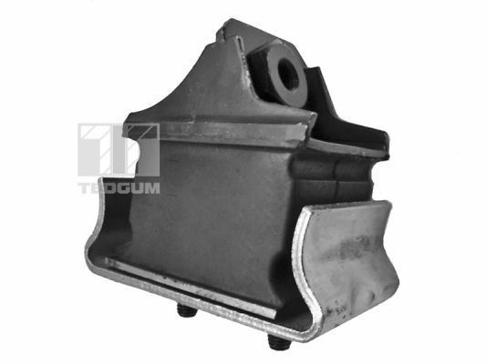 Motorsteun Tedgum 00726344