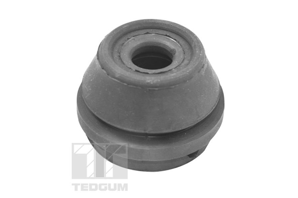Tedgum Motorsteun 00728859