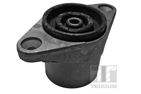 Veerpootlager & rubber Tedgum 00729328