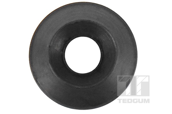 Tedgum Draagarm-/ reactiearm lager 00996880