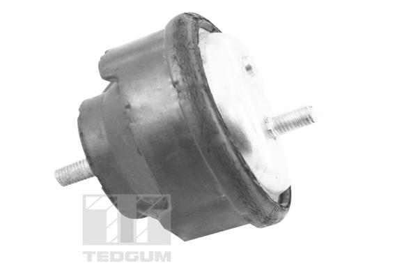Tedgum Motorsteun TED12723
