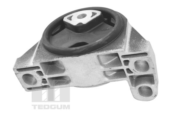 Tedgum Motorsteun TED16678