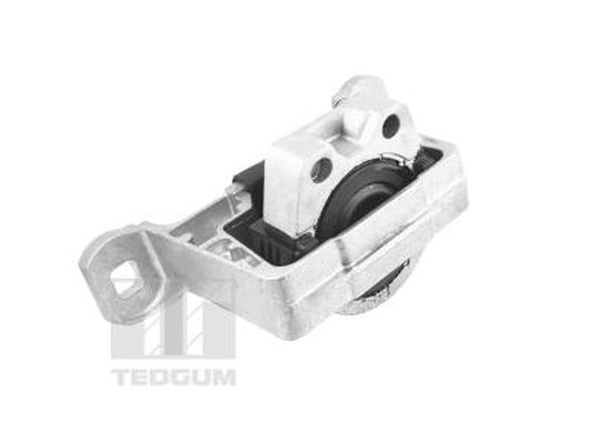 Tedgum Motorsteun TED24027