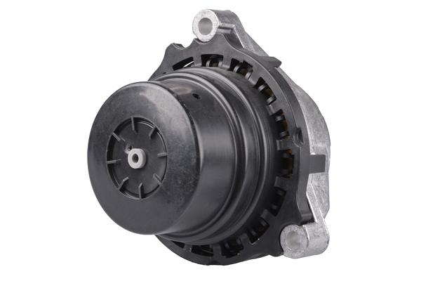 Tedgum Aslichaam-/motorsteunlager TED25318