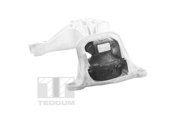 Tedgum Motorsteun TED37615