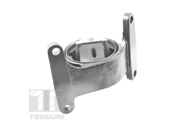 Tedgum Motorsteun TED37845