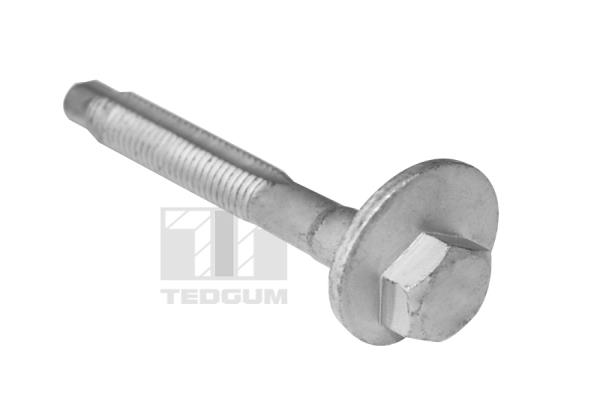 Tedgum Schroef TED39597