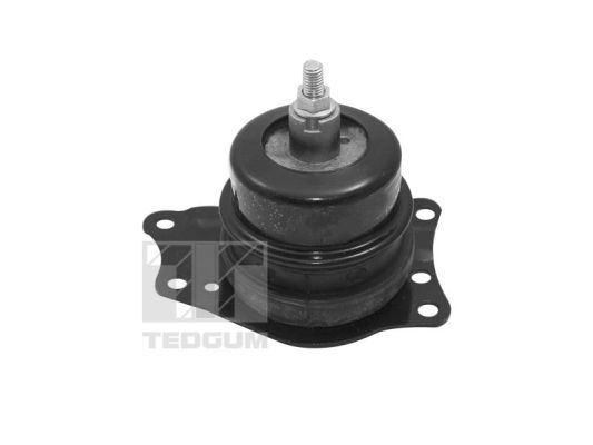 Tedgum Motorsteun TED40385