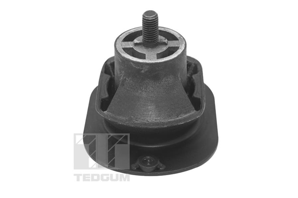 Tedgum Motorsteun TED40521