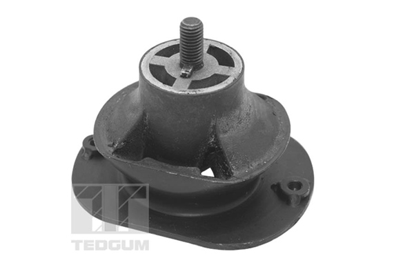 Tedgum Motorsteun TED40521