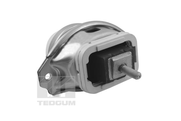 Tedgum Motorsteun TED44341