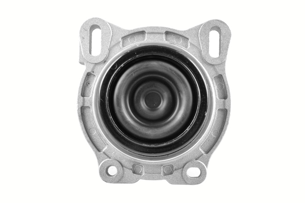 Tedgum Motorsteun TED44719