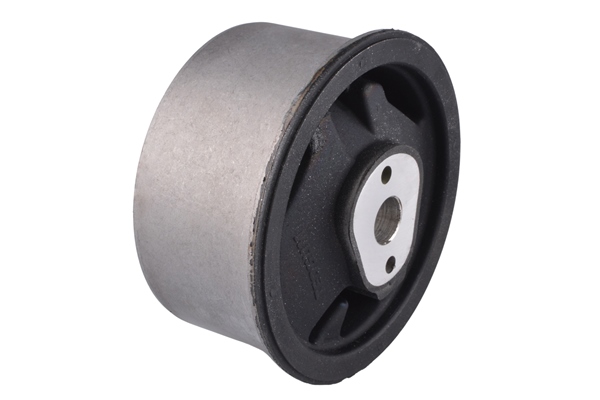 Tedgum Aslichaam-/motorsteunlager TED46652