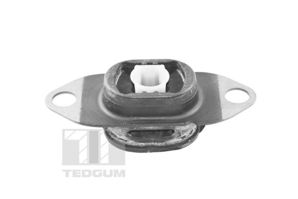 Tedgum Motorsteun TED46913