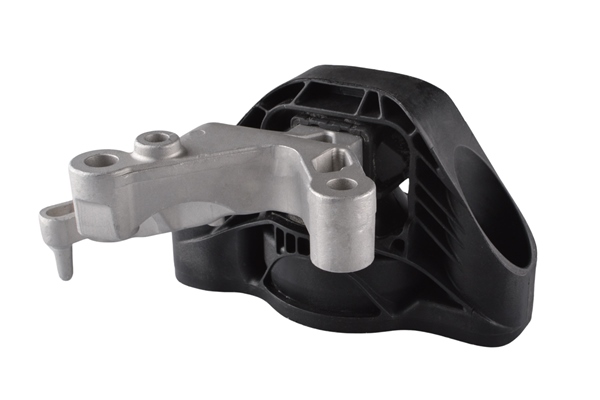 Tedgum Aslichaam-/motorsteunlager TED52841