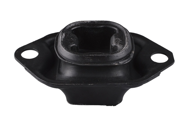 Tedgum Aslichaam-/motorsteunlager TED55030