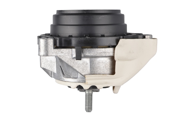 Tedgum Aslichaam-/motorsteunlager TED55453