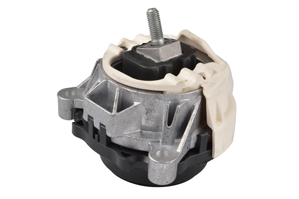 Tedgum Aslichaam-/motorsteunlager TED55453