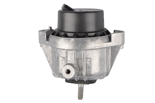 Tedgum Aslichaam-/motorsteunlager TED60795